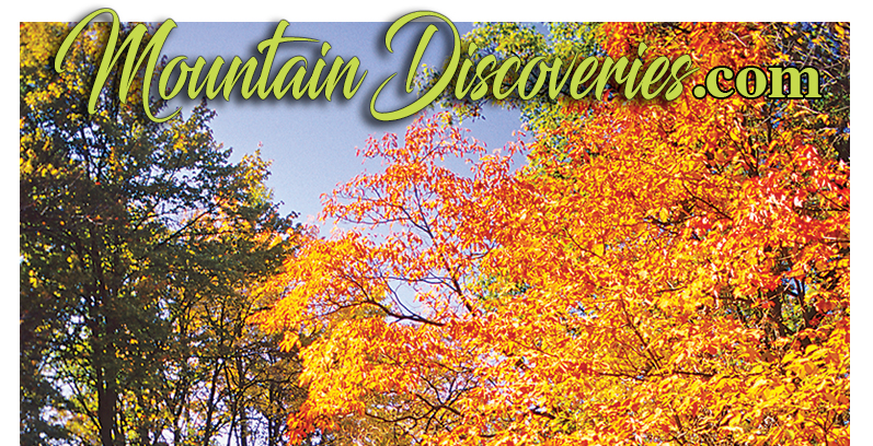 Mountain Discoveries